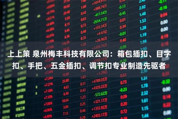 上上策 泉州梅丰科技有限公司：箱包插扣、目字扣、手把、五金插扣、调节扣专业制造先驱者